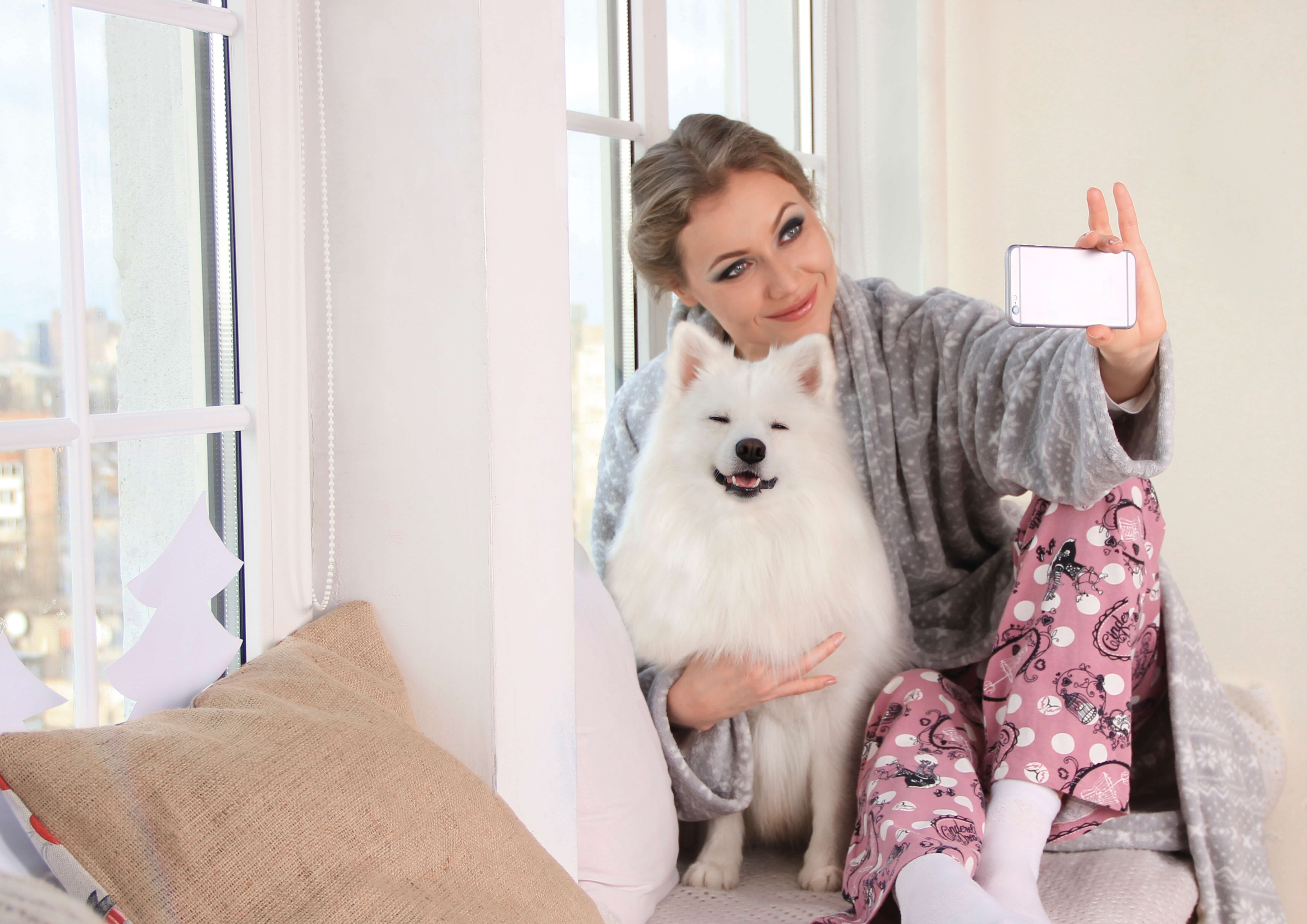 The rise of Insta-dogs: Could your dog be famous online?